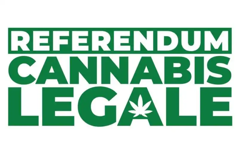 Referendum Cannabis