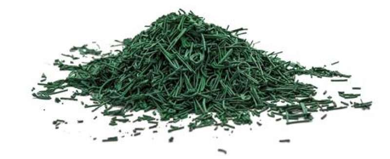 SPIRULINA