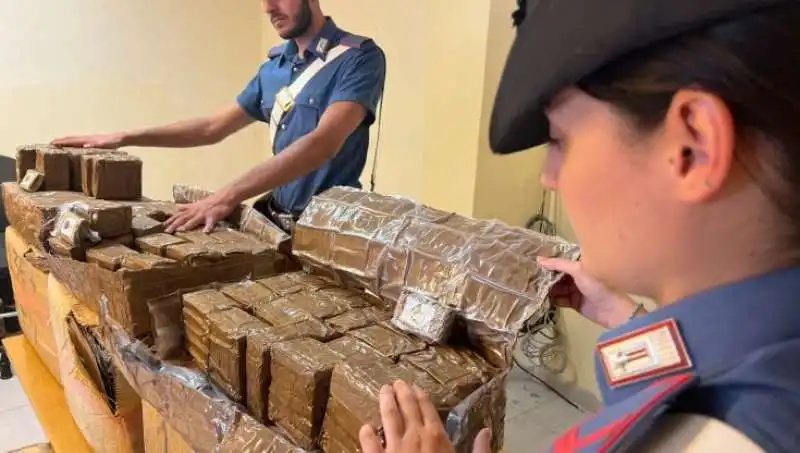 231 chili di hashish sequestrati a napoli