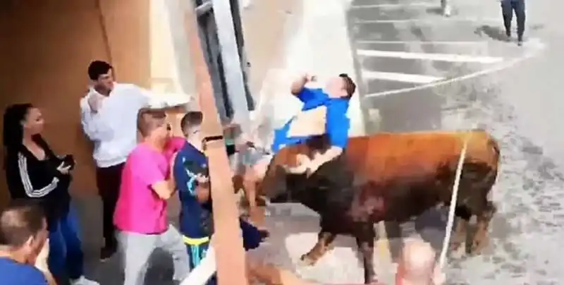 attacco toro in spagna 1