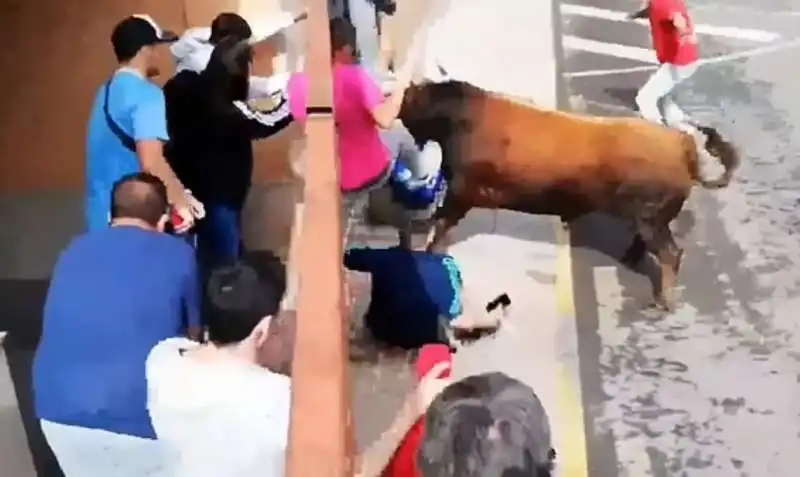 attacco toro in spagna 2