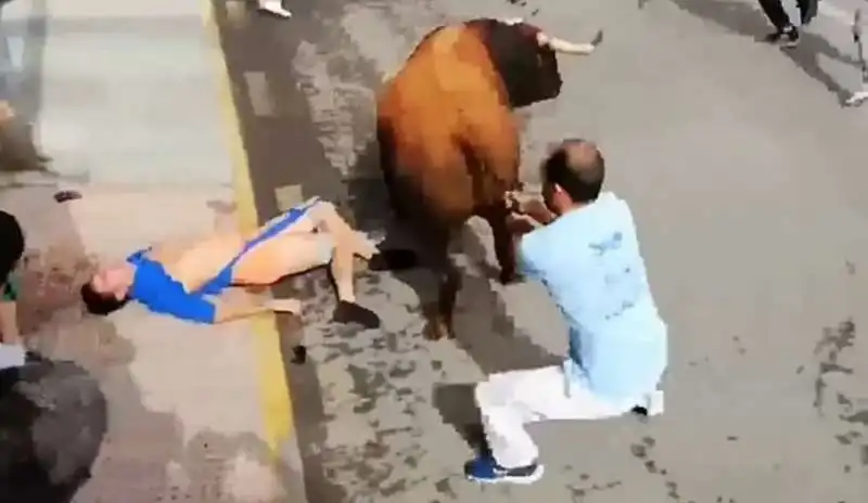 attacco toro in spagna 3