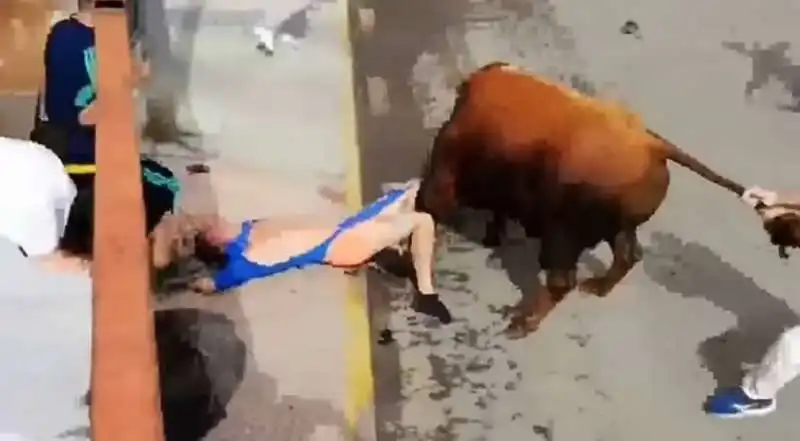 attacco toro in spagna 5