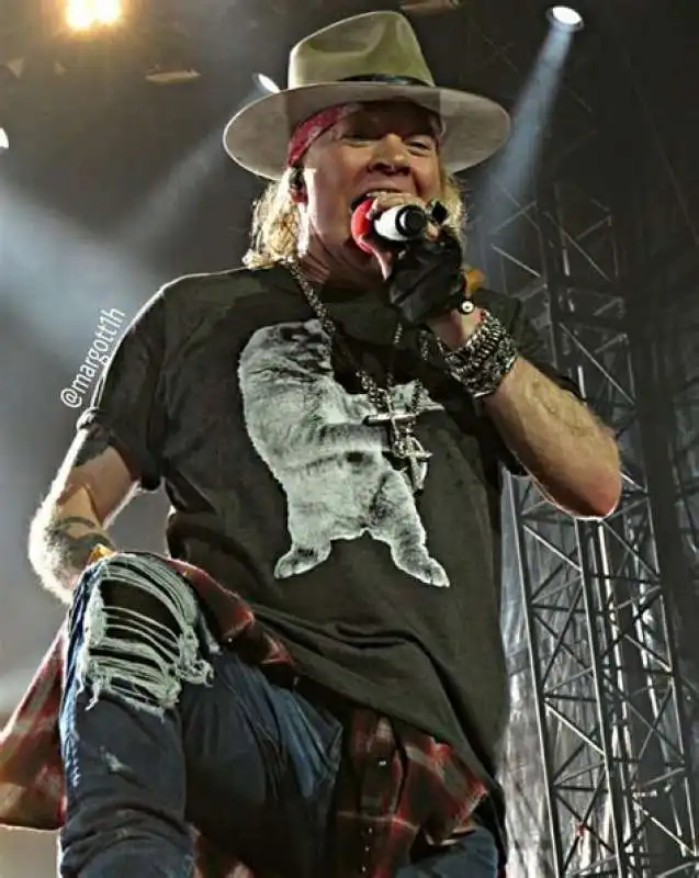 axl rose (2)