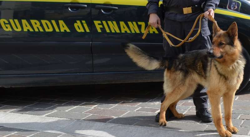 CANE GUARDIA DI FINANZA