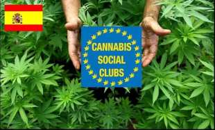 CANNABIS SOCIAL CLUB