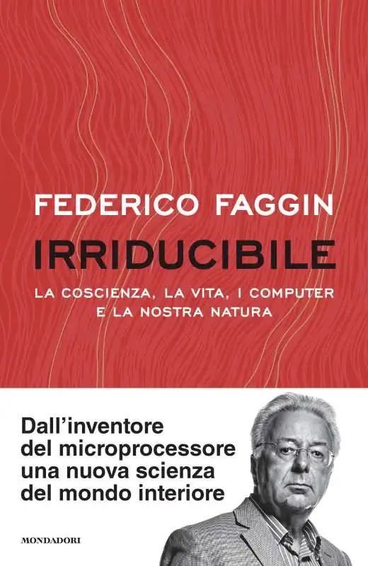 irriducibile federico faggin