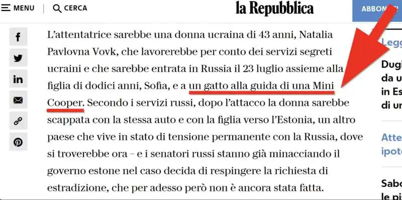 La Repubblica - Gatto alla guida 