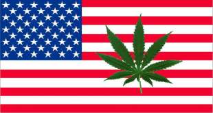 marijuana usa