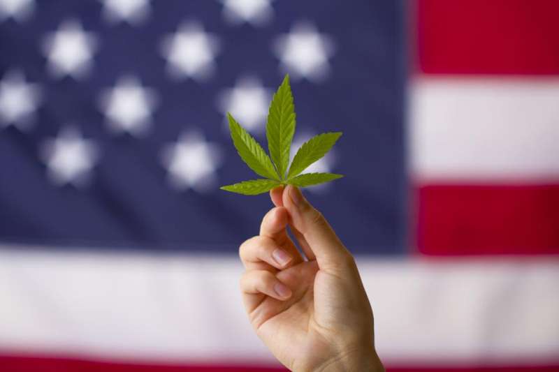 marijuana usa