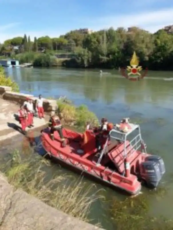 mucca recuperata nel tevere a roma