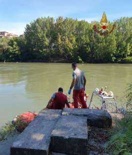 mucca recuperata nel tevere a roma