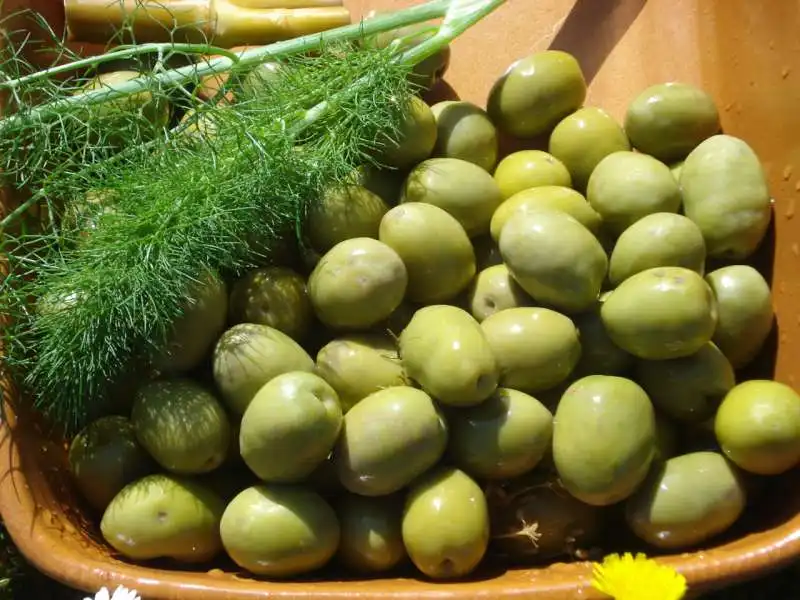 olive ascolane del piceno 2