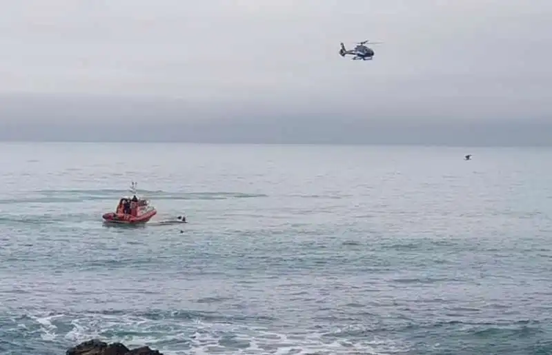 SOCCORSI DOPO LO SCONTRO TRA UNA BARCA E UNA BALENA IN NUOVA ZELANDA