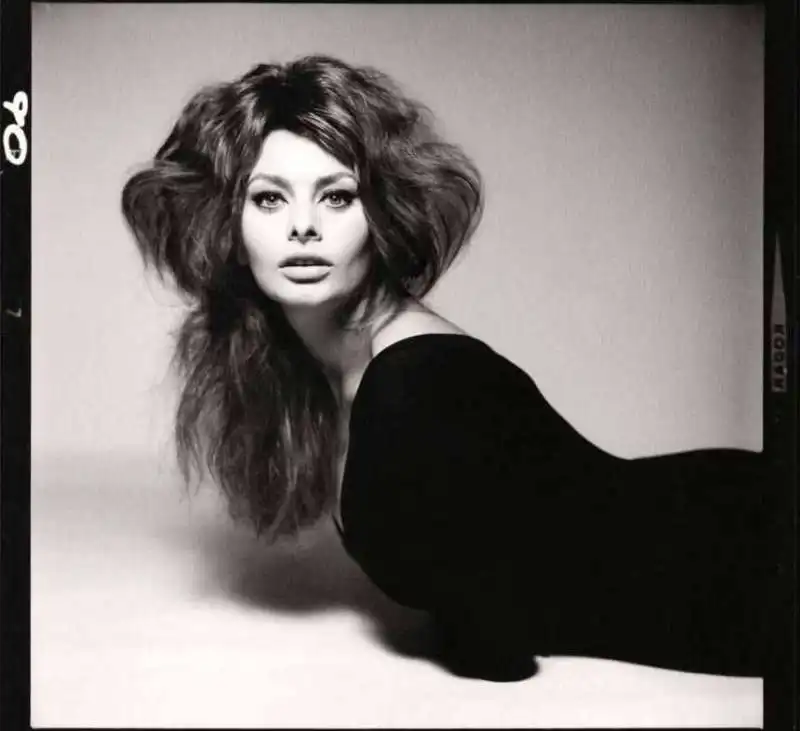 sophia loren richard avedon