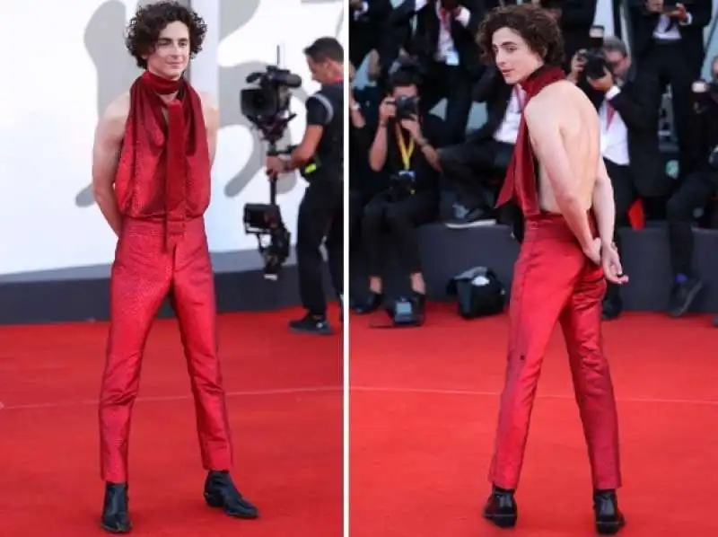 timothee chalamet 