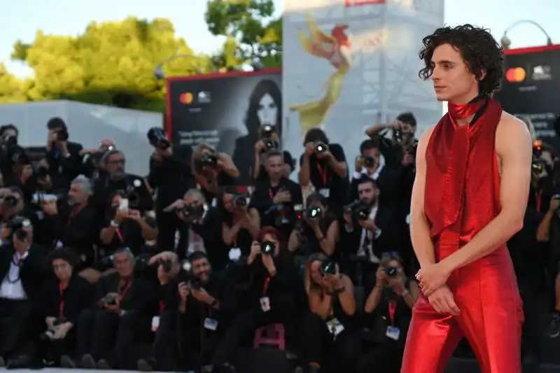 timothee chalamet   2