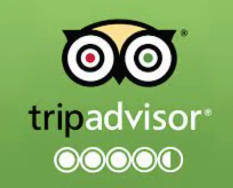 tripadvisor