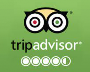 tripadvisor