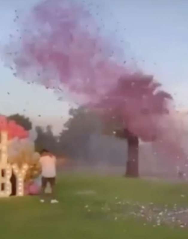 aereo si schianta in messico durante un gender reveal 3