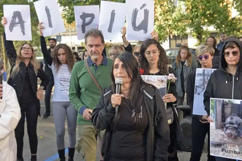 animalisti in presidio a pavia dopo l abbattimento dei maiali per la peste suina   5