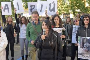 animalisti in presidio a pavia dopo l abbattimento dei maiali per la peste suina 5