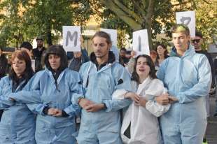 animalisti in presidio a pavia dopo l abbattimento dei maiali per la peste suina 2