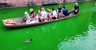 animalisti uccidono i pesci a colmar con il colorante nel fiume 2