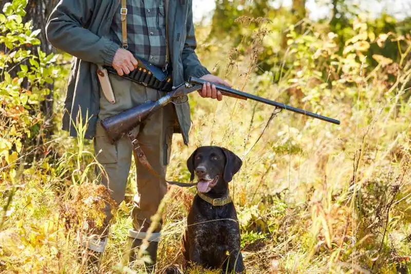 cacciatore con cane 