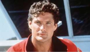 david hasselhoff