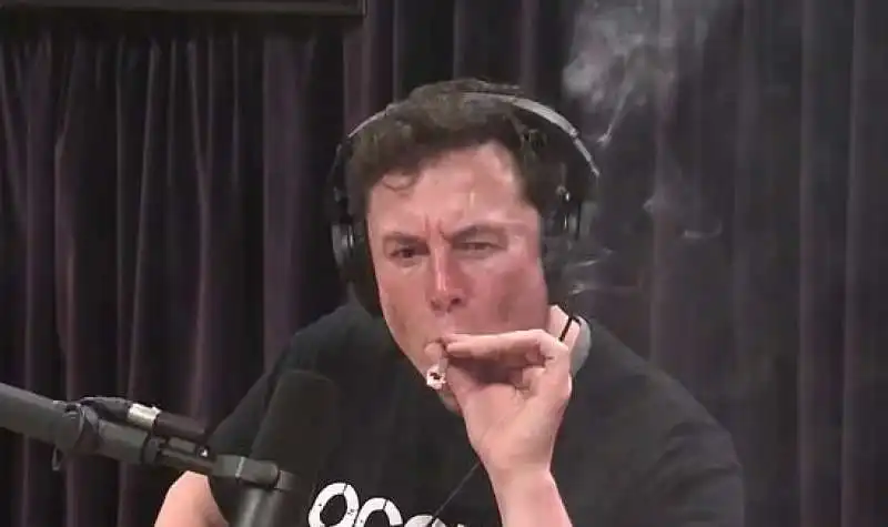 elon musk fuma uno spinello