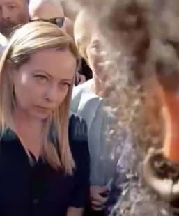 giorgia meloni e ursula von der leyen bloccate dai manifestanti a lampedusa 15