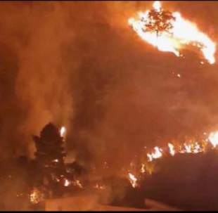 incendi a palermo copia