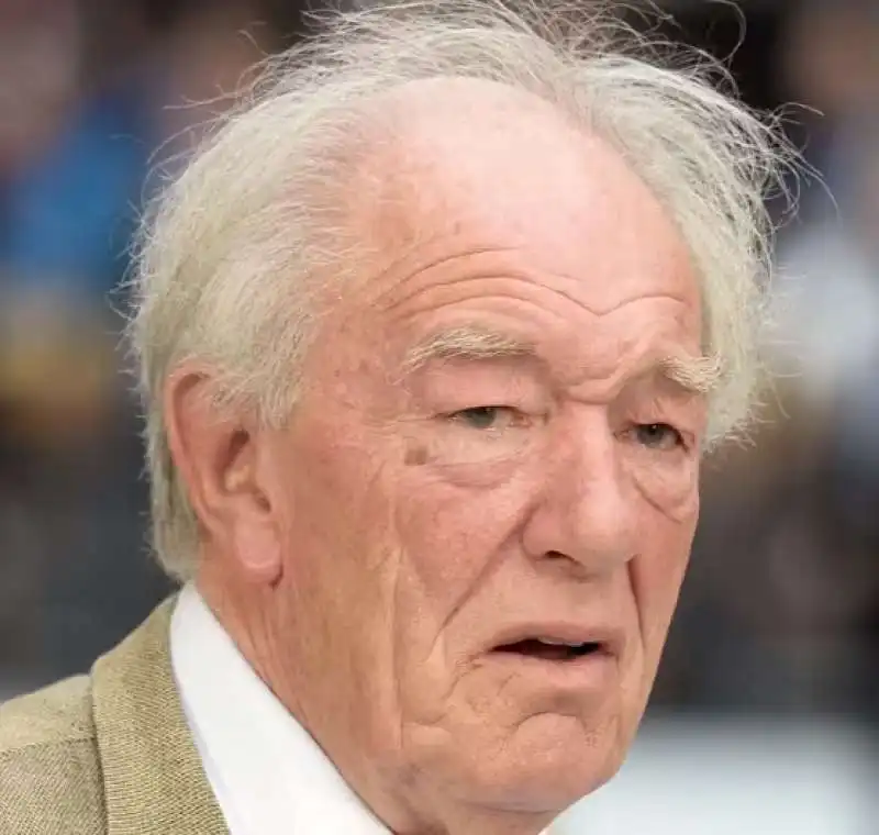 michael gambon