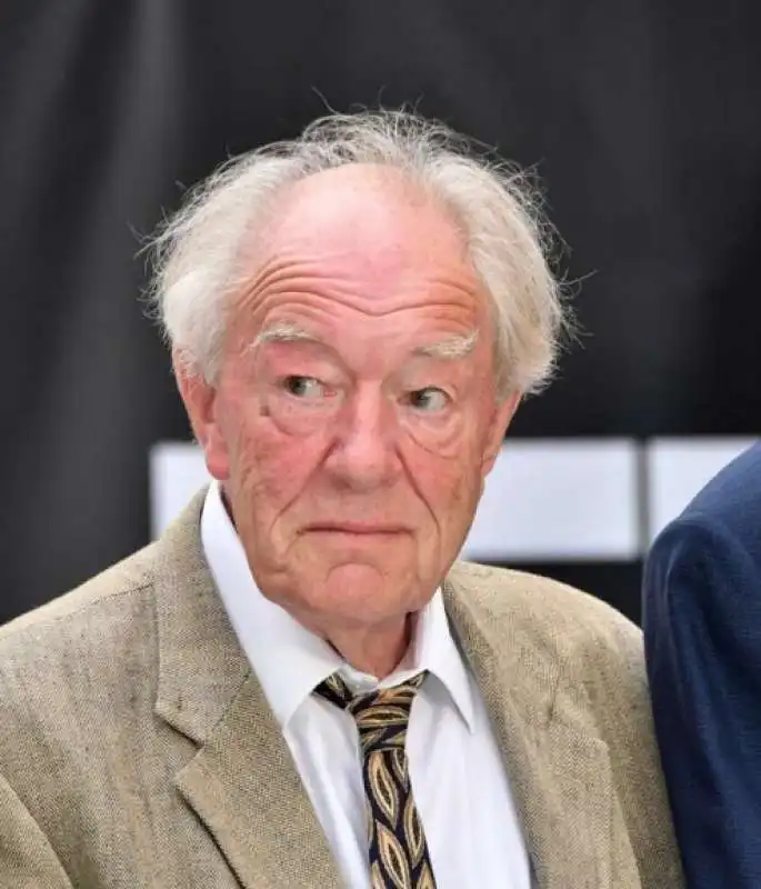 michael gambon 2