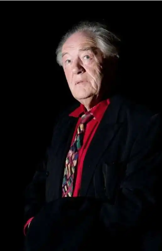 michael gambon 3