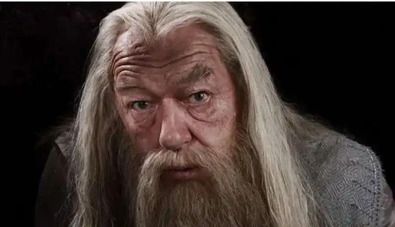  michael gambon nei panni di albus silente 3