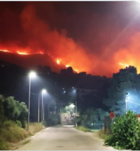 palermo brucia