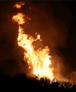 palermo incendio