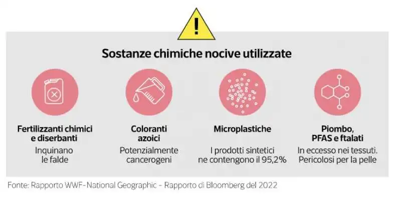 sostanze chimiche utilizzate da shein   dataroom 5