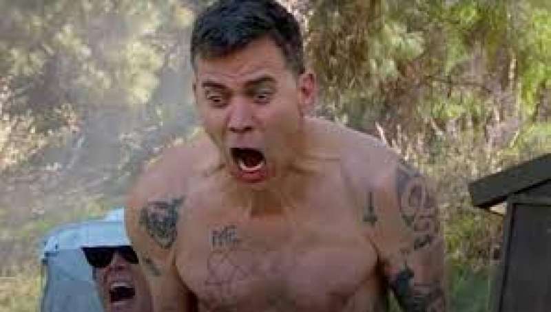 steve o. 6