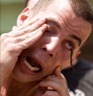 steve o. 8