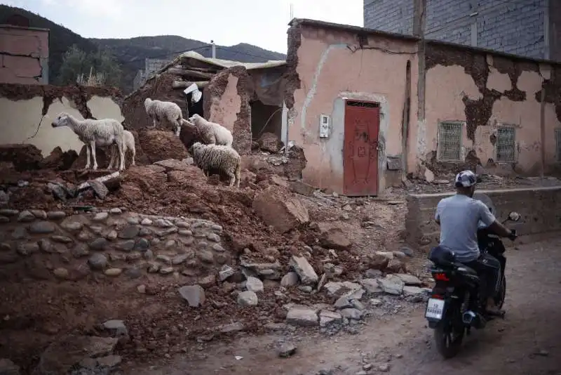 terremoto in marocco   3