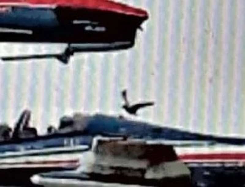 un uccello fotografato tra le frecce tricolori all aeroporto di caselle