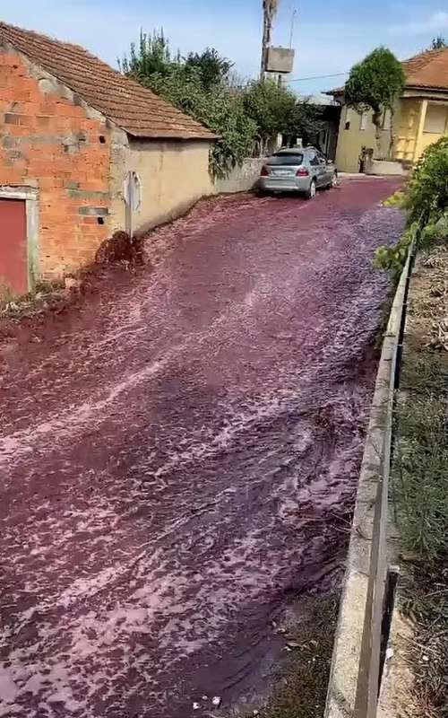 VINO PER LE STRADE IN PORTOGALLO - 1