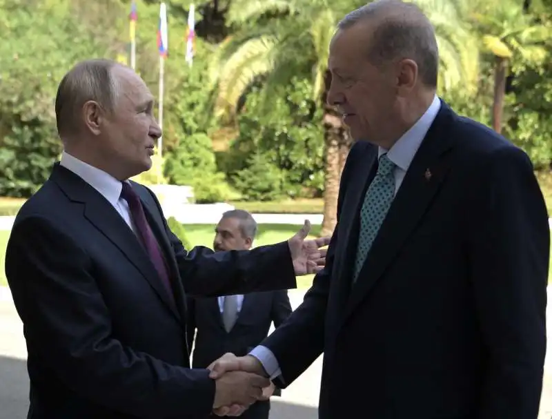 vladimir putin   recep tayyip erdogan 