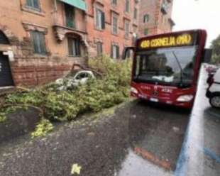 bomba d'acqua su roma 5