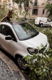 bomba d'acqua su roma 7