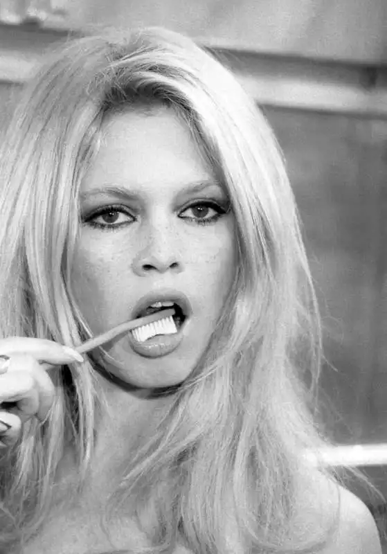 brigitte bardot 3