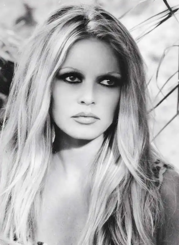 brigitte bardot 4